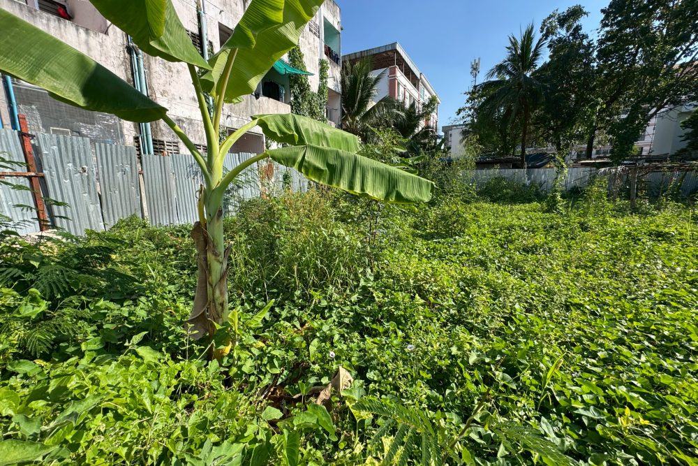 LINE_ALBUM_No.6800163_260103_4