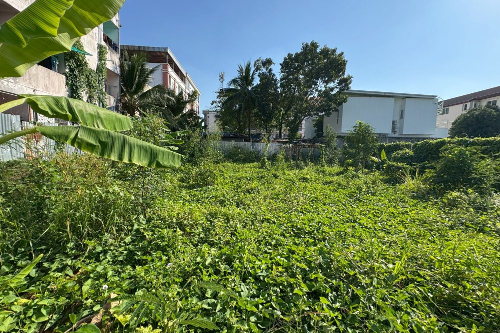 LINE_ALBUM_No.6800163_260103_5