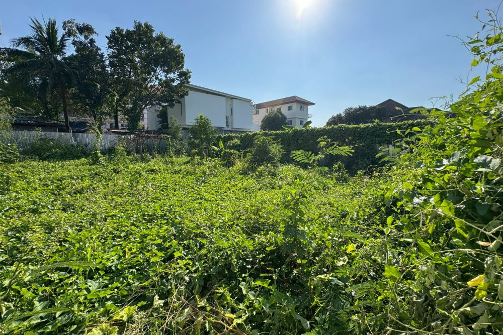 LINE_ALBUM_No.6800163_260103_6