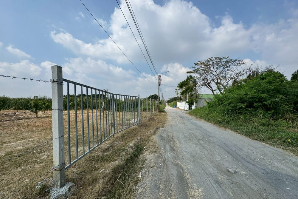 LINE_ALBUM_No.6900166_260119_1