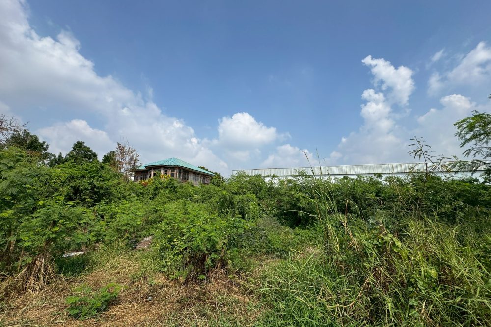 LINE_ALBUM_No.6900166_260119_2