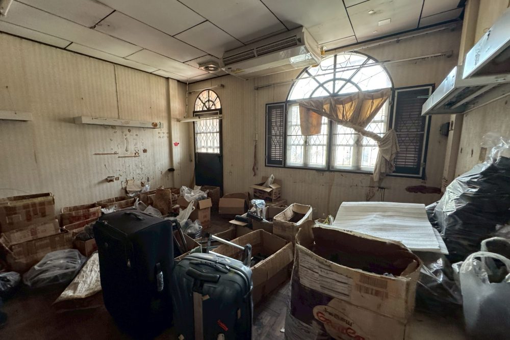 LINE_ALBUM_No.6900169_260128_6