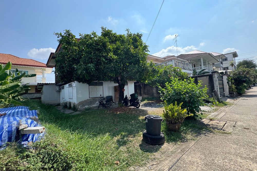 LINE_ALBUM_No.6900203_260331_2