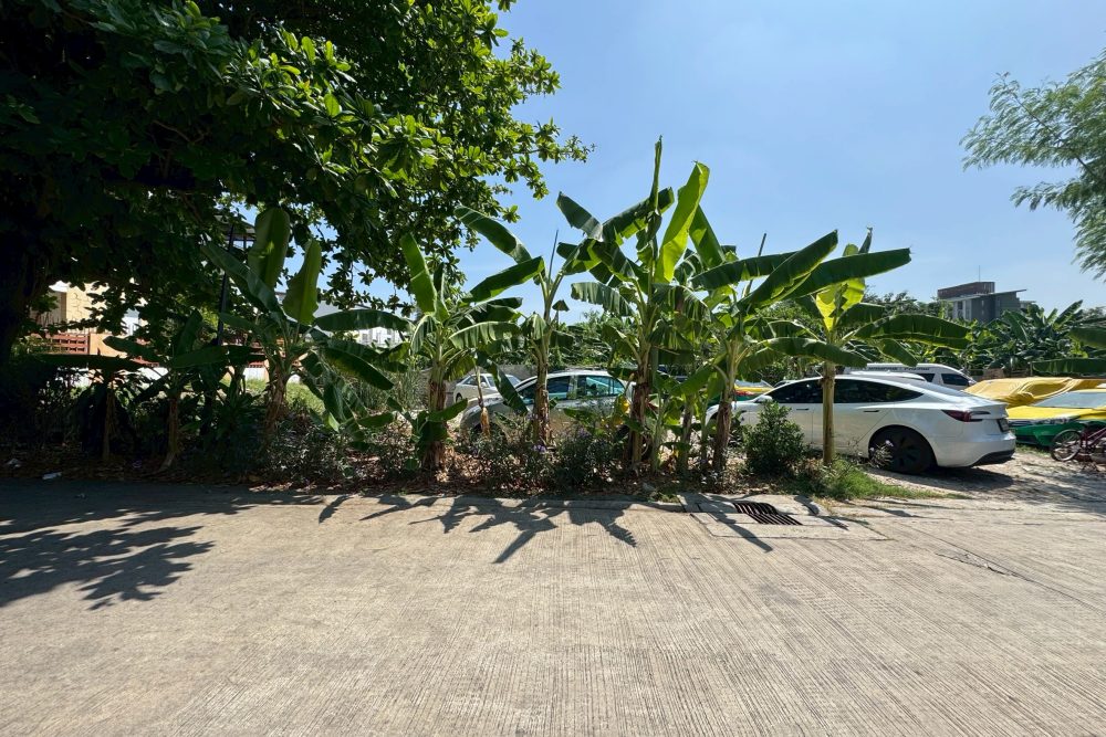 LINE_ALBUM_No.6900204-1_260404_5