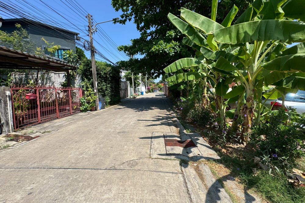 LINE_ALBUM_No.6900204-2_260404_2