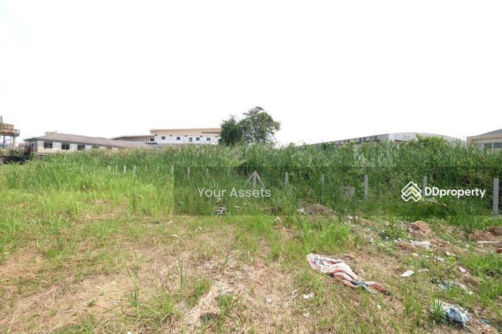 ที่ดินซอยเทศบาล-4-สามพราน-Thailand(11)
